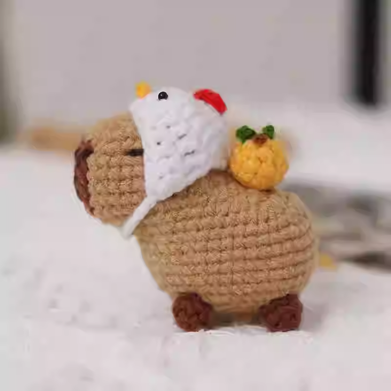 Kapybara pumpkin wizard crochet diy kit