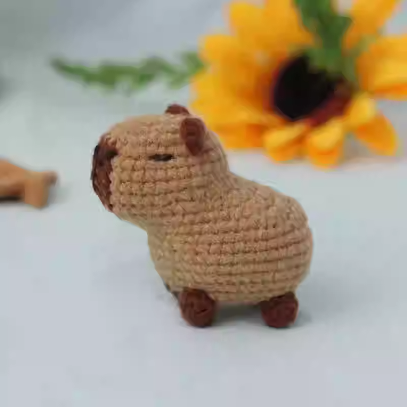 Kapybara pumpkin wizard crochet diy kit