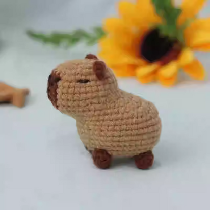 Kapybara pumpkin wizard crochet diy kit